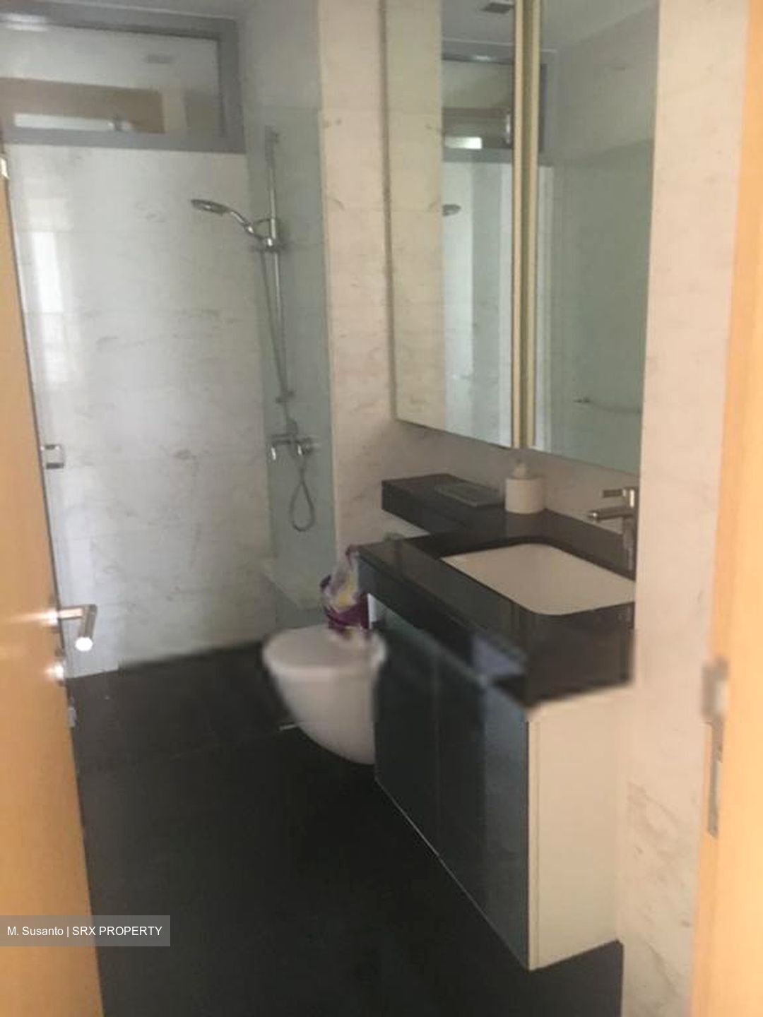 Paterson Suites (D9), Condominium #574538561